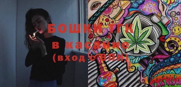 шишки Белоозёрский