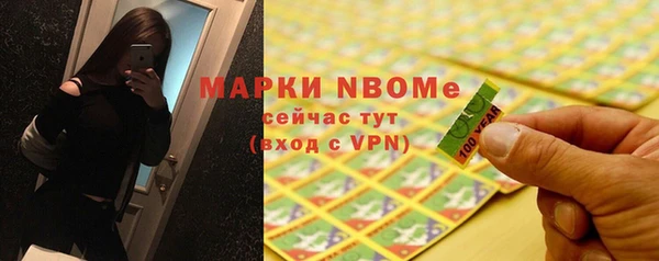 шишки Белоозёрский