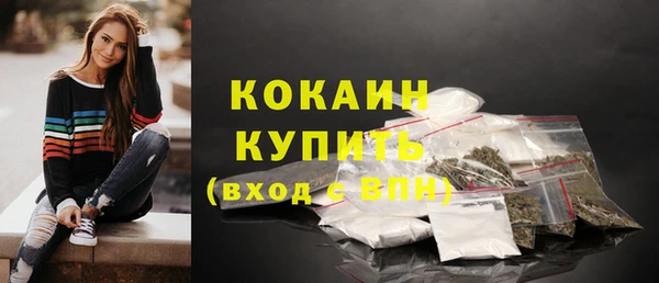 шишки Белоозёрский