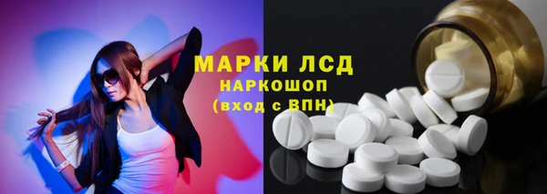 шишки Белоозёрский