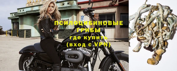 шишки Белоозёрский